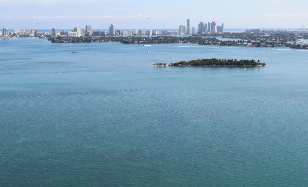 Experience Nature in Miami by Visiting Raccoon Island - Miami FL 2